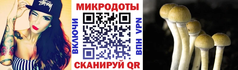 Галлюциногенные грибы ЛСД  Купить закладки  Евпатория 